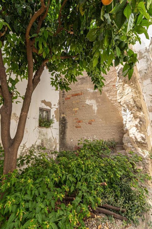 La Casa De Los Arcos - Casco Historico - Parking Opcional Jerez de la Frontera Eksteriør billede